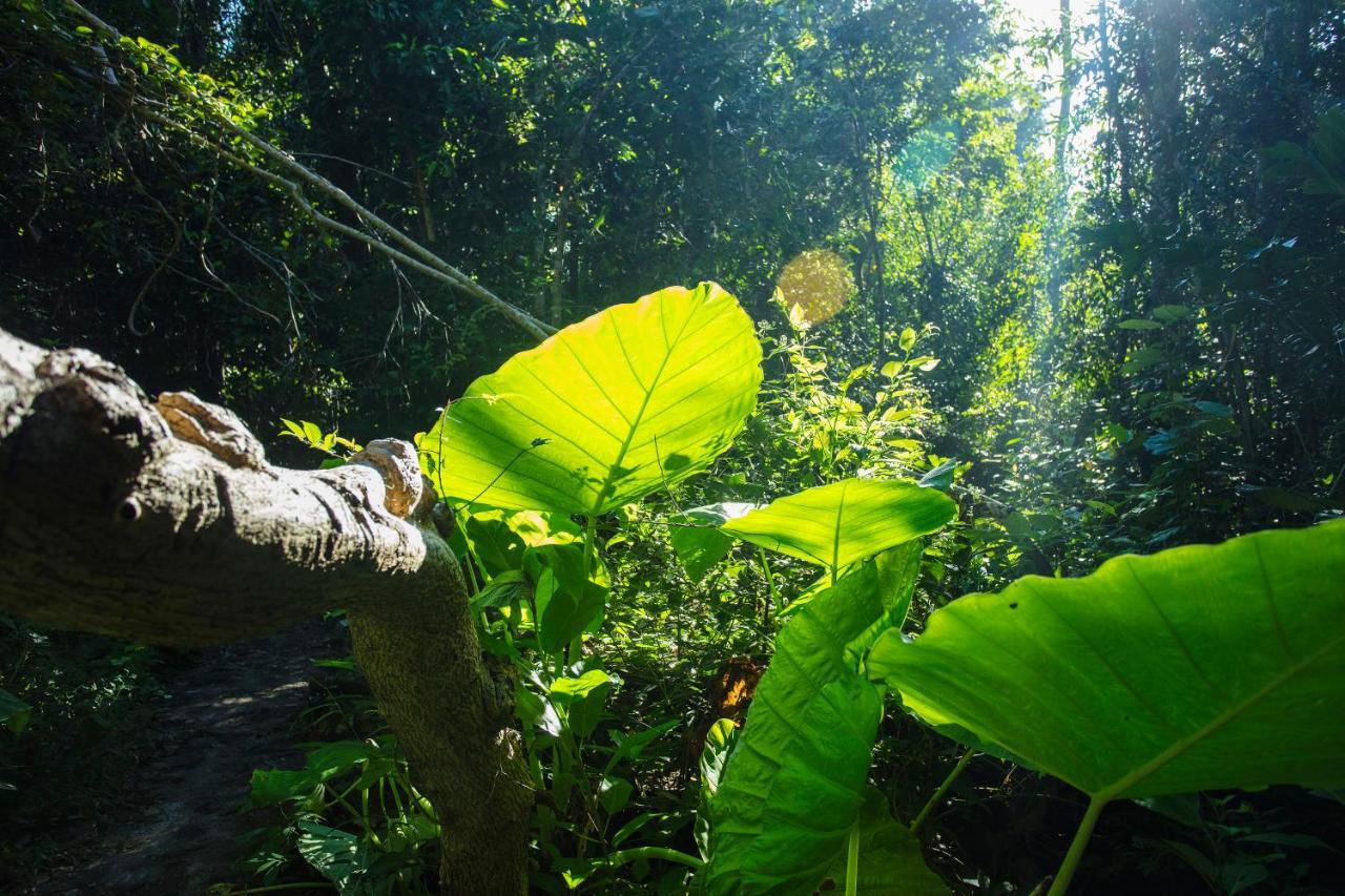 Cat Tien Jungle Lodge Bagian luar foto